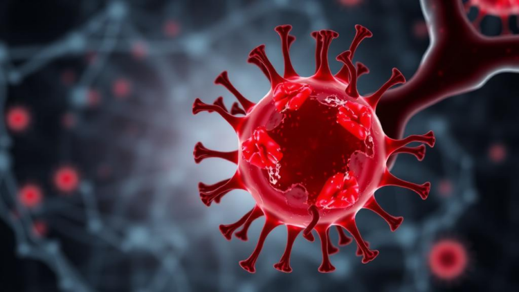 Starvation enzyme SIRT2 strips a mitochondrial gatekeeper to trigger cell death