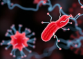 AI Framework Aims to Transform Helicobacter pylori Care from Diagnosis to Vaccines