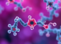 Antioxidant Peptides Change Chemically While Fighting Oxidation, Review Finds