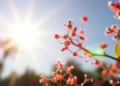 Midday Sunlight Yields Smaller Copper Nanoparticles With Stronger Antibacterial Activity