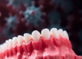 Fibronectin found to reprogram immune cells and drive tooth regeneration