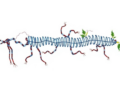 New Standard PEtab Select Brings Order to the Chaos of Choosing Biological Models