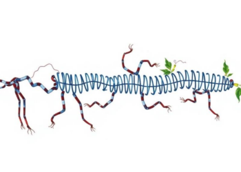 New Standard PEtab Select Brings Order to the Chaos of Choosing Biological Models