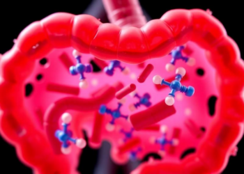 Synthetic Gut Microbial Communities Offer a Controlled Window into Metabolic Disease