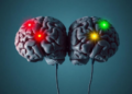 Brain electrodes reveal a tug-of-war between two orbitofrontal regions as we decide to take risks or play it safe