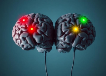 Brain electrodes reveal a tug-of-war between two orbitofrontal regions as we decide to take risks or play it safe