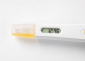 One Urine Sample May Not Capture a Pregnancy's Full Chemical Exposure