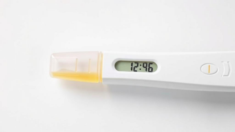 One Urine Sample May Not Capture a Pregnancy's Full Chemical Exposure