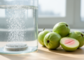 Ozone bubble water curbs guava anthracnose and slows fruit ripening
