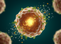 Traditional Chinese Medicine Compounds Trigger Cancer Cell Ferroptosis via TP53