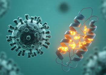 Computational study designs multi-epitope vaccine candidate against Lassa virus