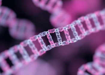 Hidden Chromatin Domains Emerge When Scientists Watch Single Chromosomes Fold