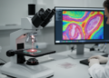 Ultrafast Raman Imaging Speeds Toward Label-Free Head and Neck Cancer Histopathology
