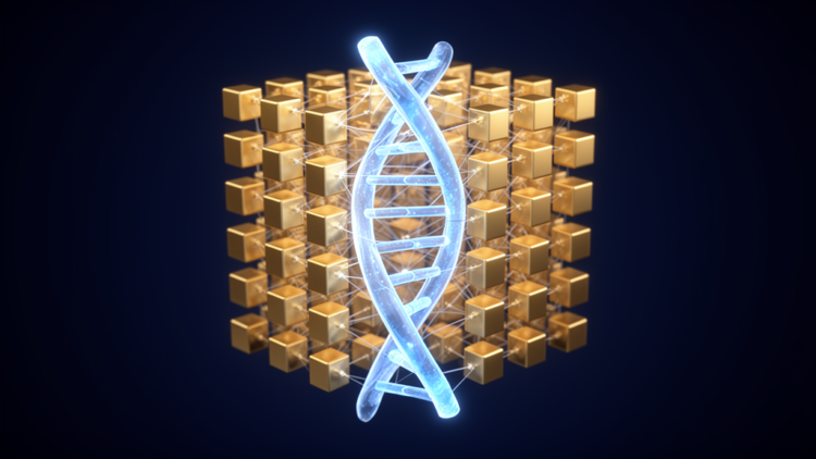 New Data Structure Slashes Memory Overhead for Genomic Index Rank Queries