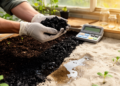 Soil Organic Matter Decides Whether Biochar Curbs Nitrogen Losses