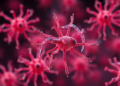 Machine learning predicts which phages kill which bacteria from genomes alone