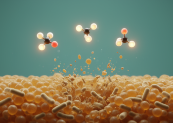 Three Amino Acids Block and Break Down Candida and Staphylococcus Biofilms