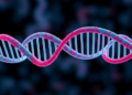 Massive Genetic Databases Reveal Seven New Drug Targets for Early Menopause