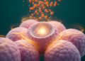 GnRH Triggers a Transient Inflammatory-Like Response in Pituitary Cells During Ovulation