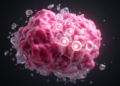 Tumor cells may revert to stem-like states, review argues