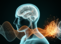 Hybrid AI Spots Seizures in Brain Recordings With Near-Perfect Accuracy