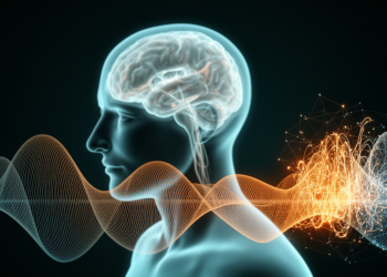 Hybrid AI Spots Seizures in Brain Recordings With Near-Perfect Accuracy