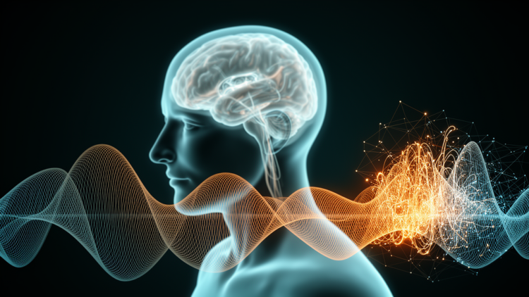 Hybrid AI Spots Seizures in Brain Recordings With Near-Perfect Accuracy