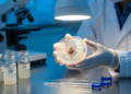 Kidney stone cultures predict sepsis after surgery better than urine tests