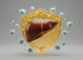 Curcumin shields rat livers from hydrogen peroxide damage in rat study