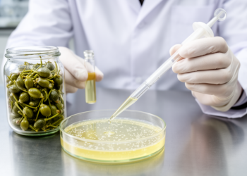 Caper Flower Extract Shows Antioxidant and Vibrio-Killing Power in Lab Tests