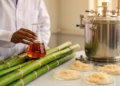 Bamboo Lignin From Bangladesh Reveals Grass-Type Structure Tuned by Soda Pulping