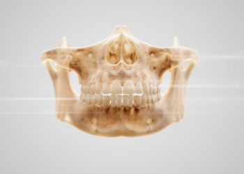 3D scans of the maxilla reveal how the facial skeleton ages