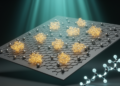 Enzyme-Graphene Hybrids Forge Metal Nanoparticles for Greener Carbon-Carbon Bond Building
