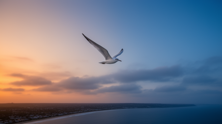 Seabirds Flying Across Time Zones Get Jet Lag That Steers Them Off Course
