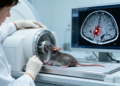 Micro-CT Maps Hidden Brain Bleeds After Stroke in Mice