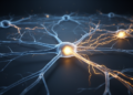 New method cuts labeled data needs for spiking neural networks