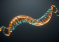 RNA Inverse Folding Solved in Linear Time for Structures Without Isolated Stacks or Base Pairs