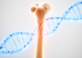 From Brittle Bones to Gene Editing: New Map of Osteogenesis Imperfecta and Its Therapies