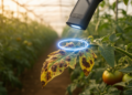 AI Learns to Say I Don't Know: New Network Flags Unseen Tomato Diseases It Was Never Taught