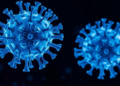 Viral Mimicry Revealed: SARS-CoV-2 T Cells Also Recognize Tumor Antigens