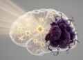 FLASH radiotherapy spares healthy astrocytes while stressing glioma cells