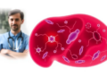 Gut Microbe Transplants May Reverse Immunotherapy Resistance in Liver Cancer