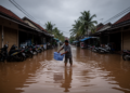 Floods Drive Leptospirosis Outbreaks in Southeast Asia, Review Finds