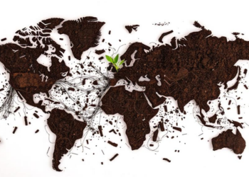Biochar Research Booms as Scientists Map the Race to Rescue the World's Dying Soils