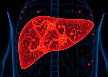 Single-cell atlas of human liver pinpoints scar macrophages as drug target for fibrosis