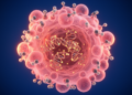 Estrogen receptor fuels breast cancer growth through an RNA-tagging loop, study finds