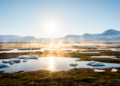 Sunlight and Clean Air Drive the Arctic's Secret Particle Factories