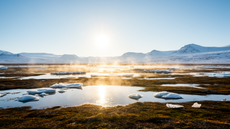 Sunlight and Clean Air Drive the Arctic's Secret Particle Factories