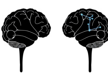 How Threat Rewires the Brain's Decision Math in Approach-Avoidance Choices