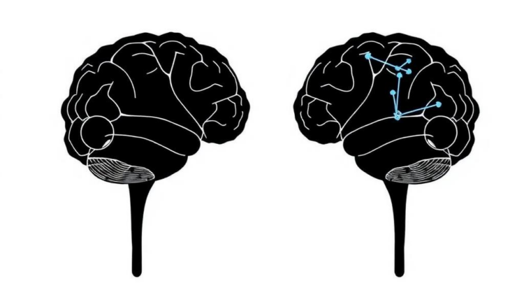 How Threat Rewires the Brain's Decision Math in Approach-Avoidance Choices
